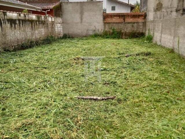 #56 - Área para Venda em Caraguatatuba - SP