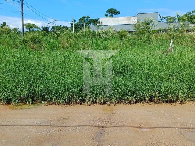 #66 - Área para Venda em Caraguatatuba - SP - 2