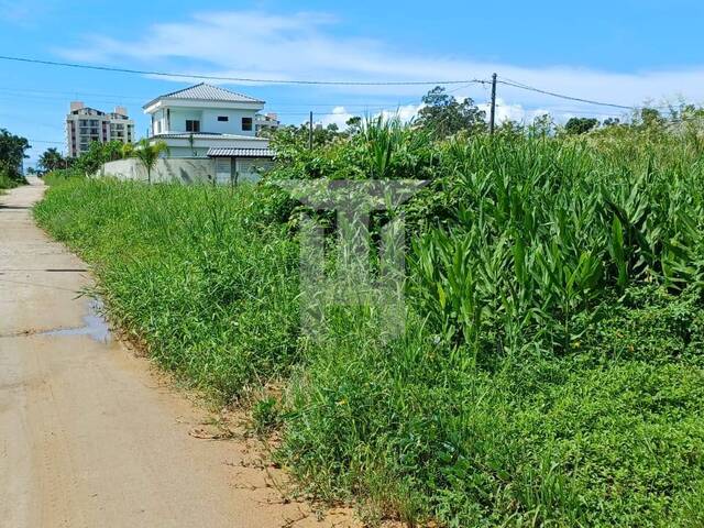 Área para Venda em Caraguatatuba - 4